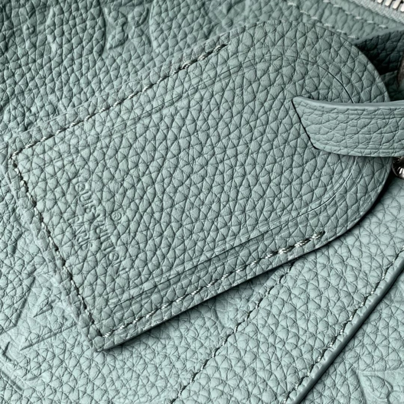 LV Travel Bags